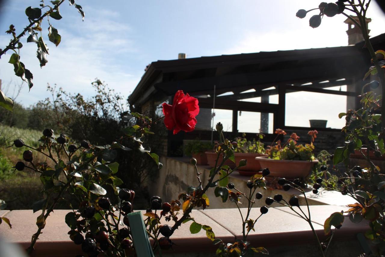 La Casa Di Bia Bed & Breakfast Corleone Dış mekan fotoğraf