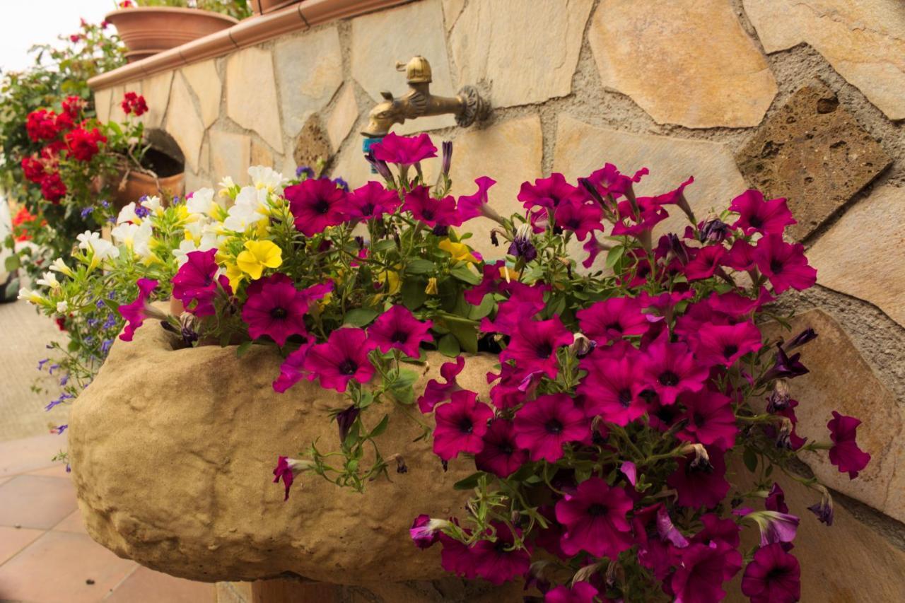 La Casa Di Bia Bed & Breakfast Corleone Dış mekan fotoğraf